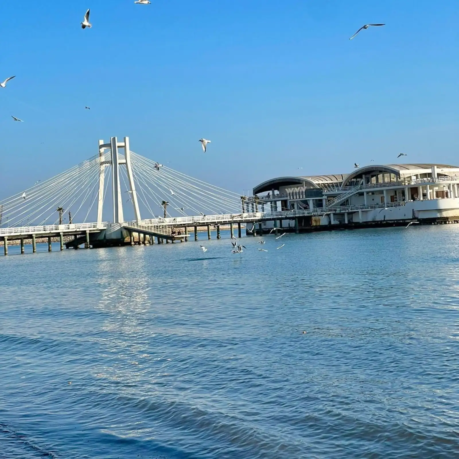 img_id_634843.45.26 (1).webp